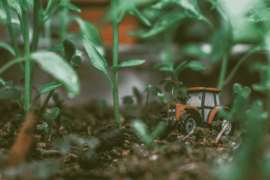 Team planning next steps for Instant candidate skills assessment platform for HR and recruiters with API access and a flexible pricing model